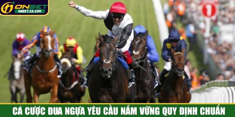 Cá cược đua ngựa yêu cầu nắm vững quy định chuẩn