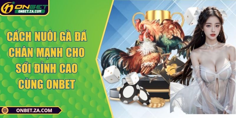 Cách Nuôi Gà Đá Chân Mạnh Cho Sới Đỉnh Cao Cùng Onbet