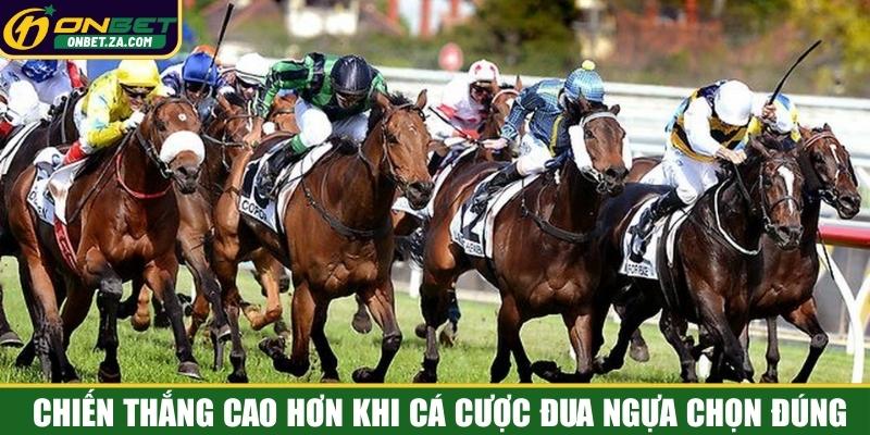 Chiến thắng cao hơn khi cá cược đua ngựa chọn đúng