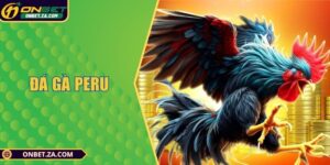 Đá Gà Peru Máu Lửa, Trải Nghiệm Cược Chất Tại Onbet