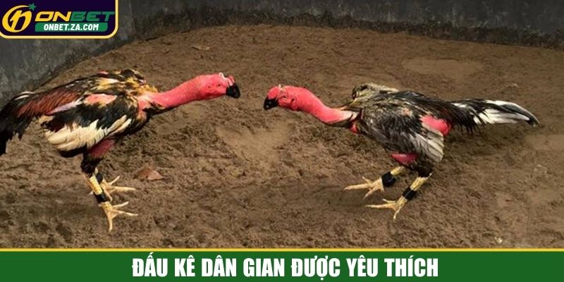 Đấu kê dân gian được yêu thích