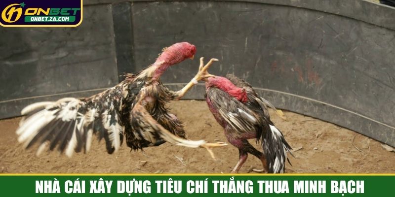 Nhà cái xây dựng tiêu chí thắng thua minh bạch